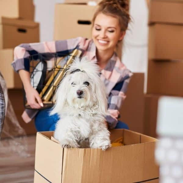 Moving boxes in a freshly cleaned home